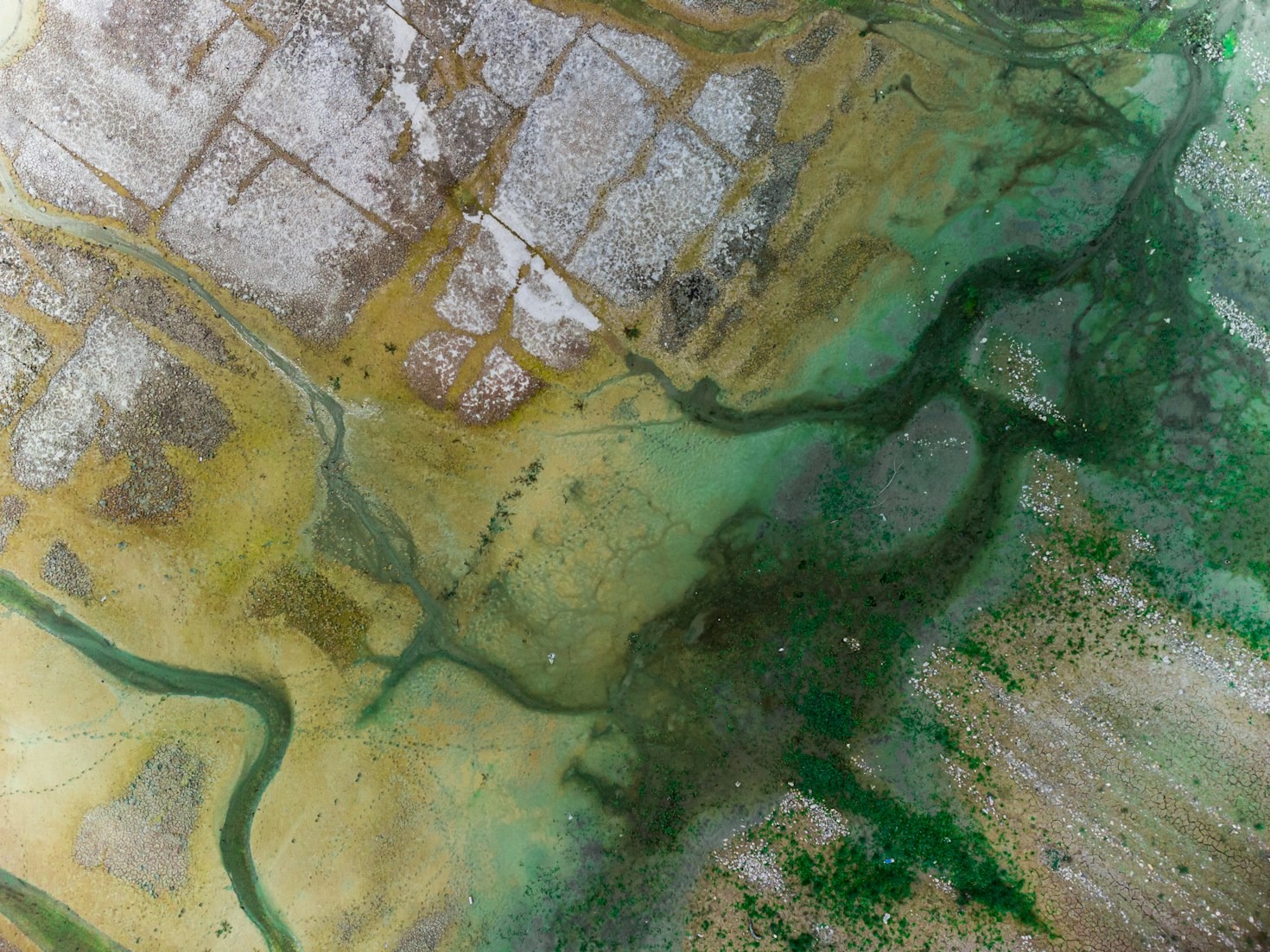 The Future Of Geospatial Data In Climatology